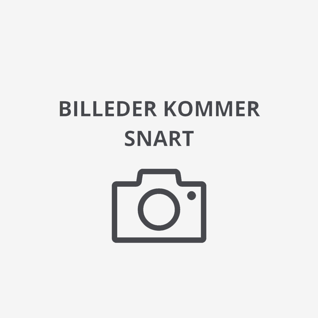 akustikbillede-svanen-hvid-art-acoustic